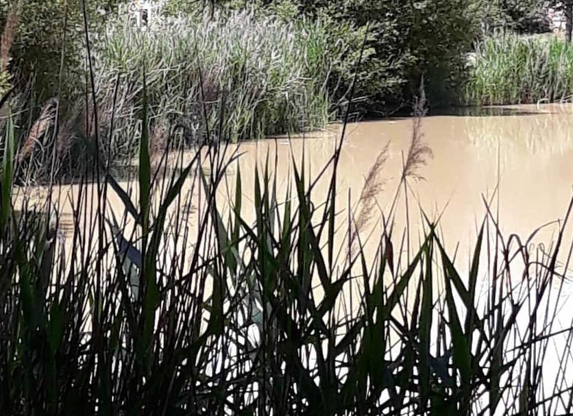 Chambre - Manoir de Pierre Levée