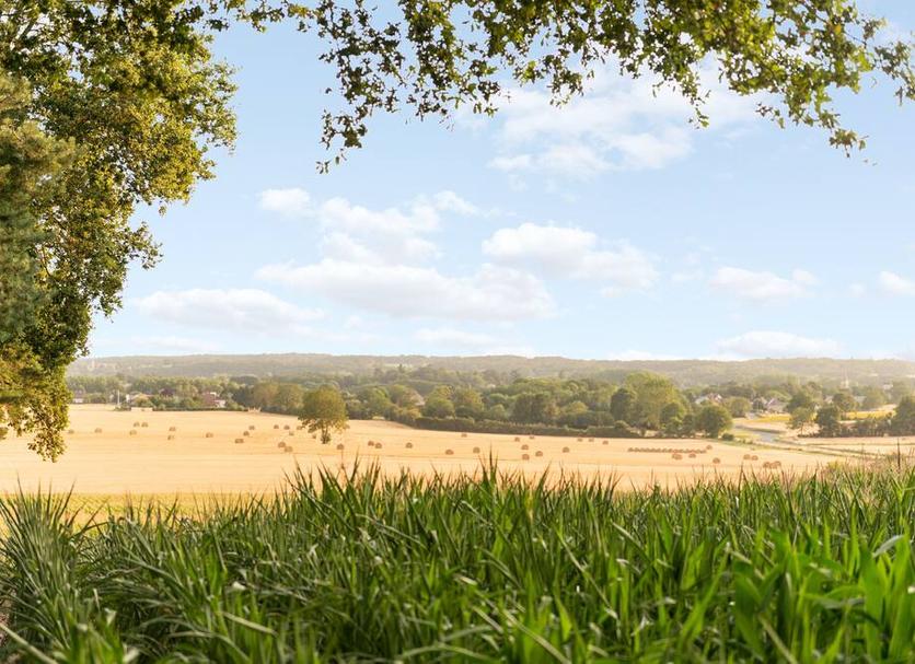 Chambre - Manoir de Pierre Levée
