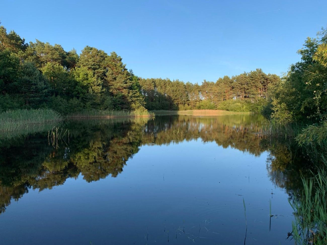 Parc & étangs privés - Manoir de Pierre Levée